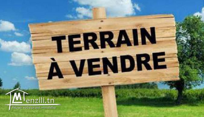 Terrain de 150 m² titré à dar allouche en face de la plage 95829120