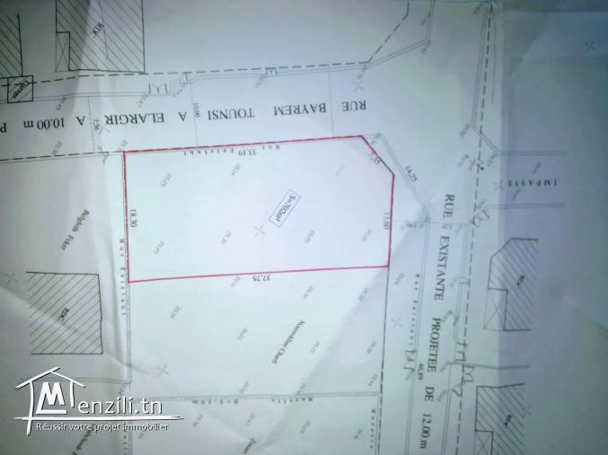 Terrain route manzel chaker 700 m2