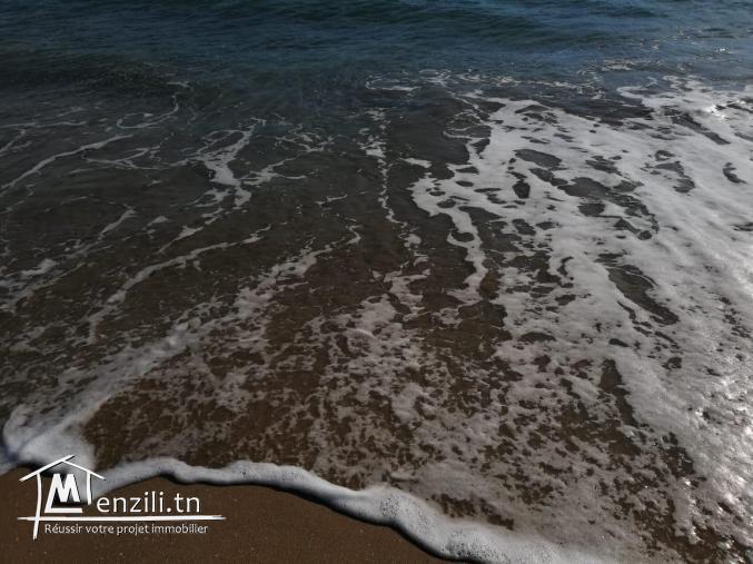 Terrain a kelibia 3 min du plage