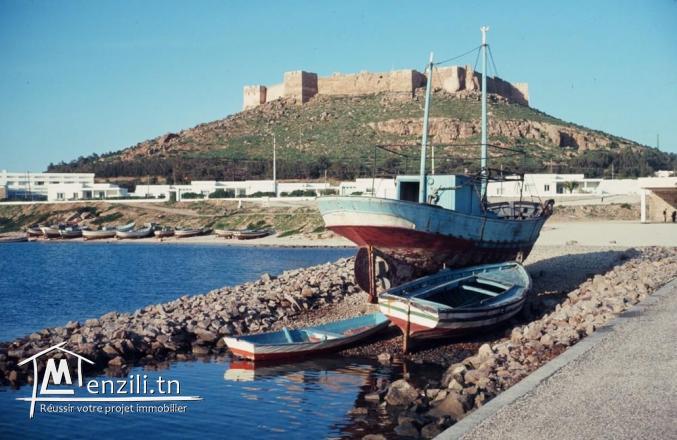 Terrain a kelibia 3 min du plage