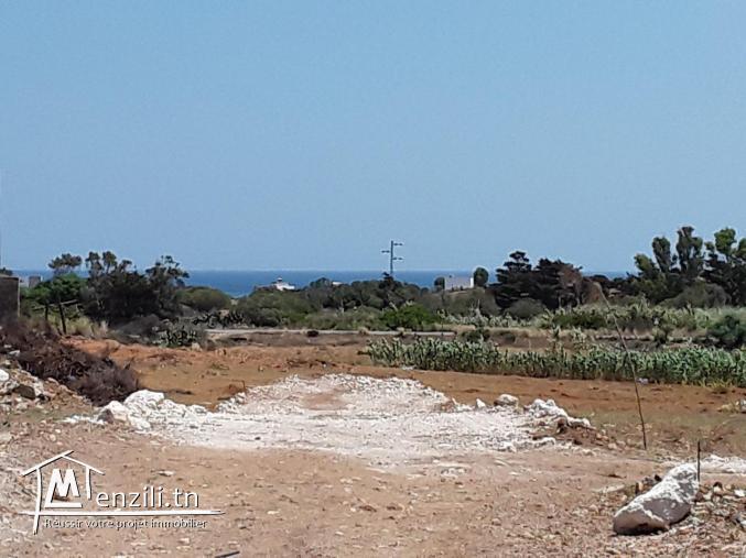 terrain de 300m² à 29.000dt !