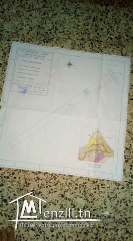 Terrain a vendre a cote du Pôle financier de Raoued