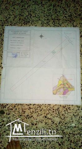 Terrain a vendre a cote du Pôle financier de Raoued