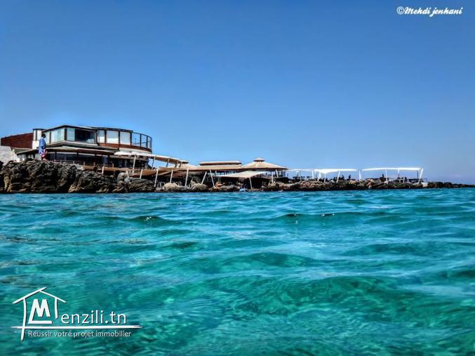 terrain à kelibia  a 12000 MD seulement!!!