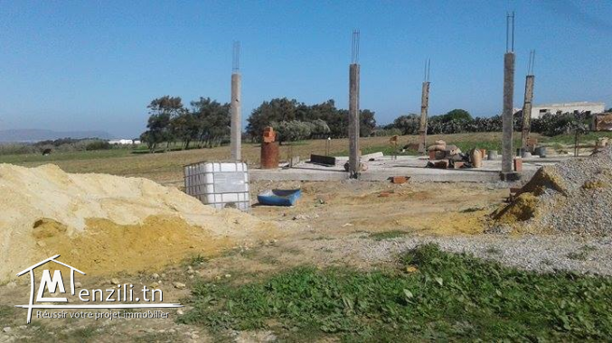 terrain à kelibia  a 12000 MD seulement!!!