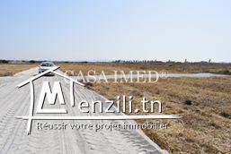 Terrain à hammamet de 300m²