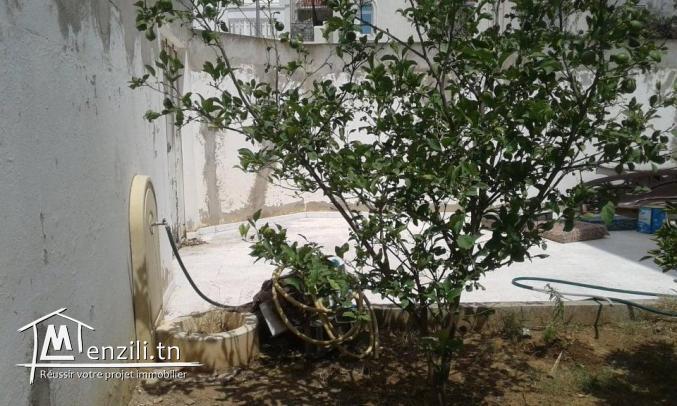 Deublexe style american