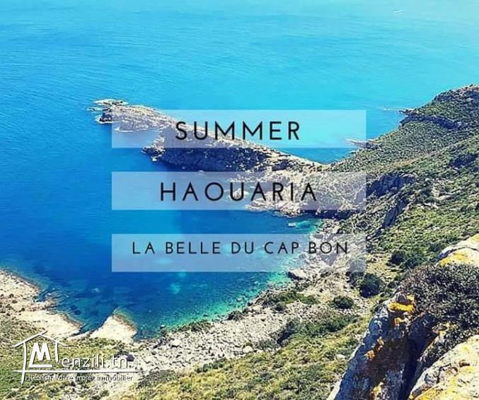 à vendre des lots de terrain 800 m à la plage elhawaria