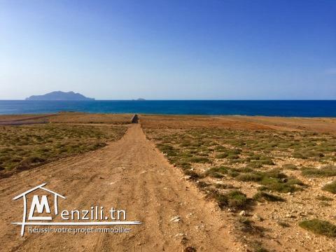 à vendre des lots de terrain 800 m à la plage elhawaria