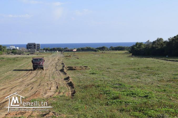 terrain a vendre a dar alouch pour plus d'info 28910825