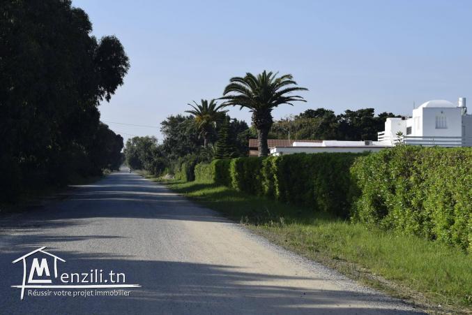 terrain a vendre a dar alouch pour plus d'info 28910825