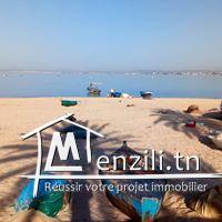 Terrain à hammamet prix 21 mille dt 