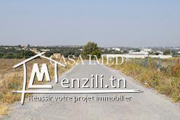 Terrain à hammamet prix 21 mille dt 