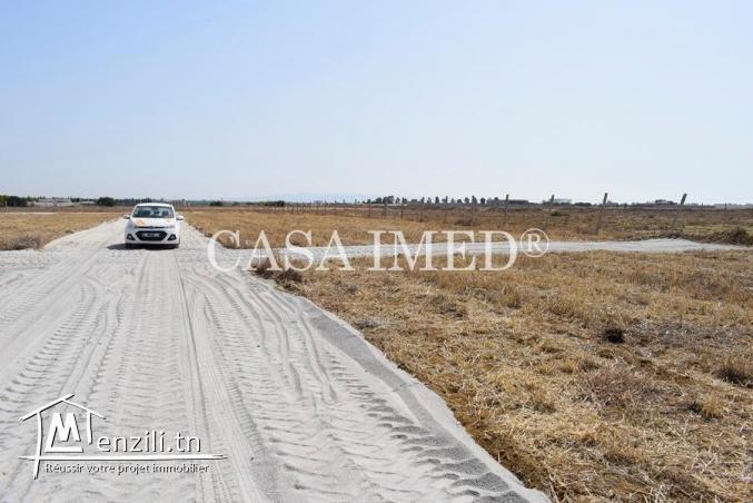 terrain à basprix à hammamet