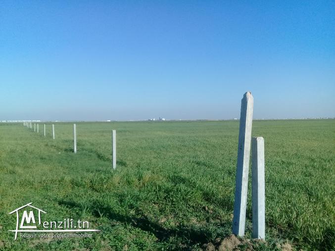 TERRAIN NU  TOUT PRES DU PORT  FINACIER