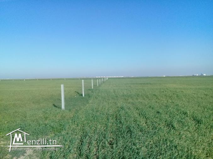 TERRAIN NU  TOUT PRES DU PORT  FINACIER