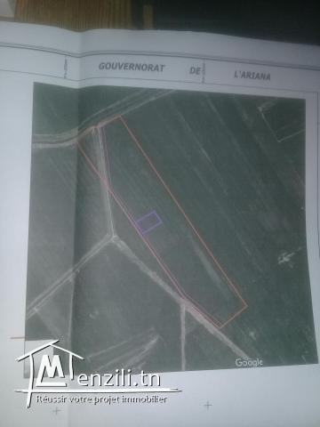 TERRAIN NU  TOUT PRES DU PORT  FINACIER