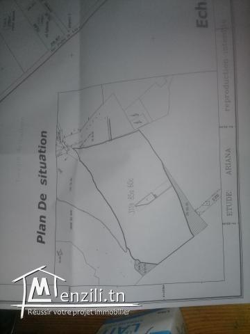 TERRAIN NU  TOUT PRES DU PORT  FINACIER