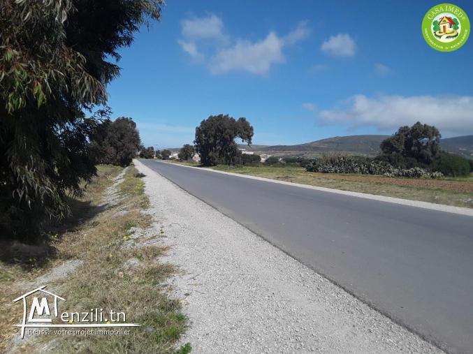 terrain commercial à haouaria profiterrr