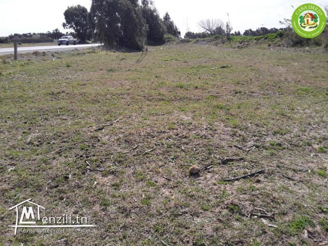 terrain commercial à haouaria profiterrr