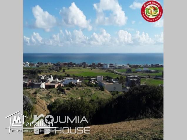 Terrain à kelibia tamazart