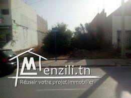 terrain - Chat mariem