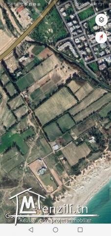 Terrain à proximité de la plage