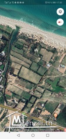 Terrain à proximité de la plage