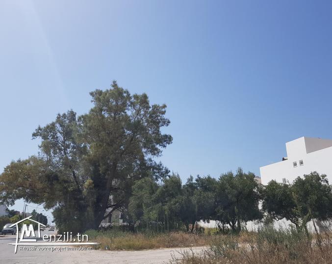 Terrain Nabeul -Plage Sidi Mahrsi 400m2