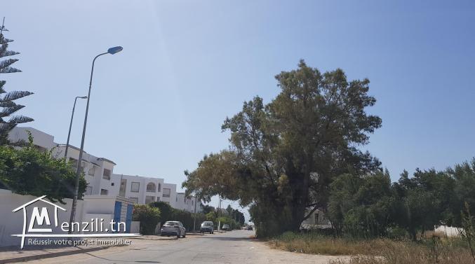 Terrain Nabeul -Plage Sidi Mahrsi 400m2