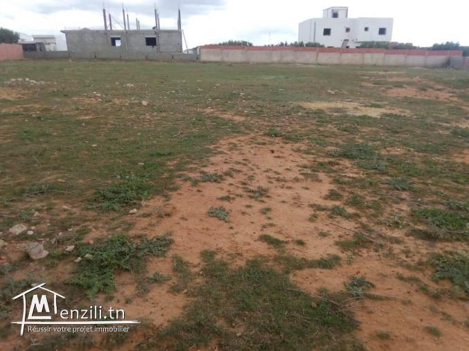 Terrain 1000m²  à 10mn de Yasmine Hammamet