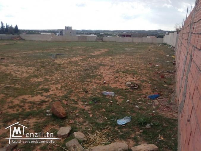 Terrain 1000m²  à 10mn de Yasmine Hammamet