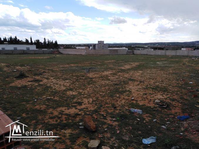 Terrain 1000m²  à 10mn de Yasmine Hammamet