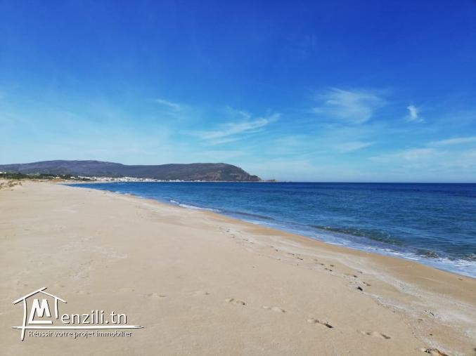 Terrain à haouaria plage