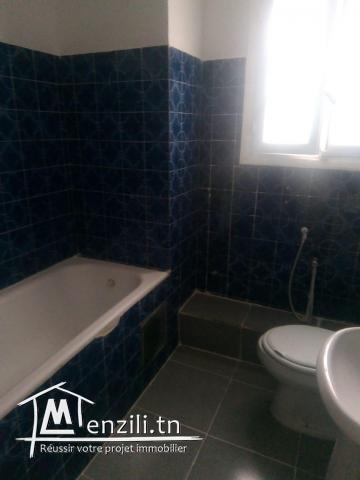 spacieux appartement