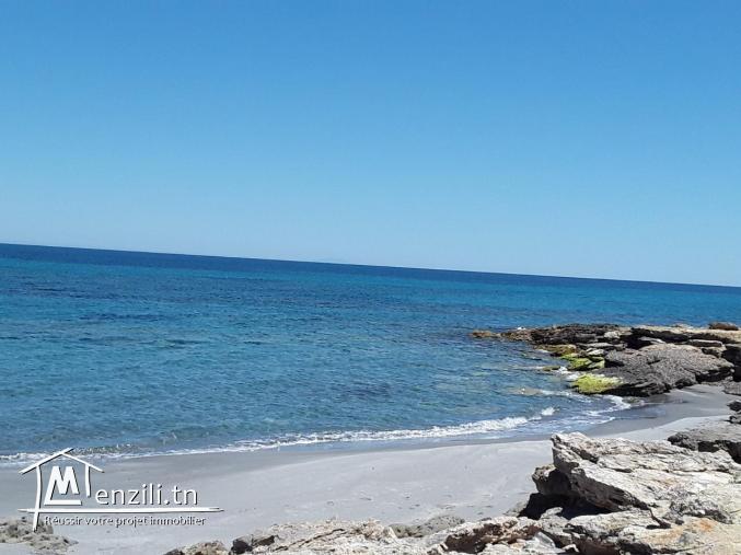 Terrain à kerkouen plage kelibia pied dans l'eau