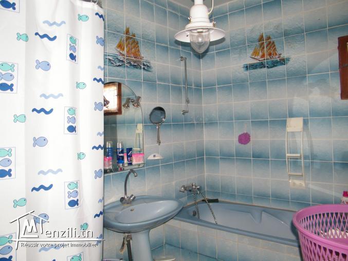 Particulier Vent Maison Avec papiers en règles