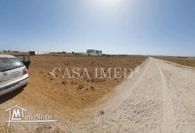 Terrain à hammamet 5 km de yasmine hammamet