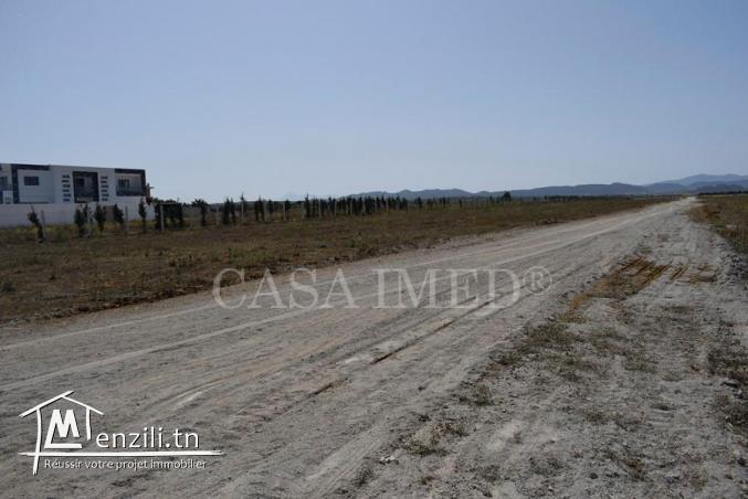 Terrain à hammamet prix 32 mille dt