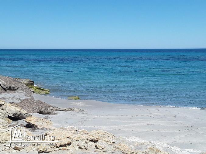 Terrain à kelibia pied dans l'eau