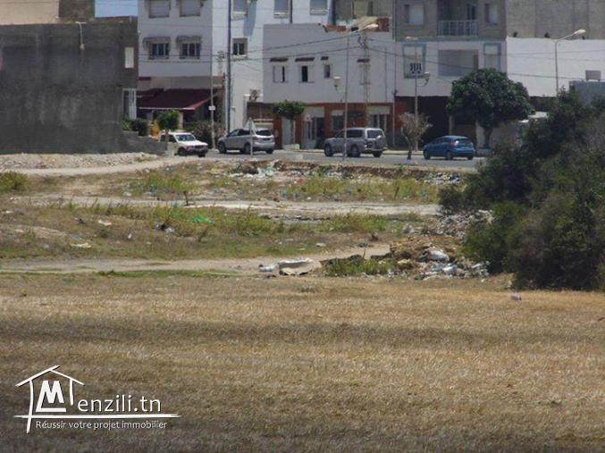 Des superbes terrains kelibia