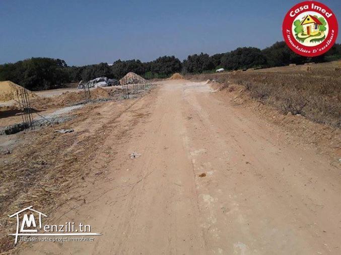 Des superbes terrains kelibia