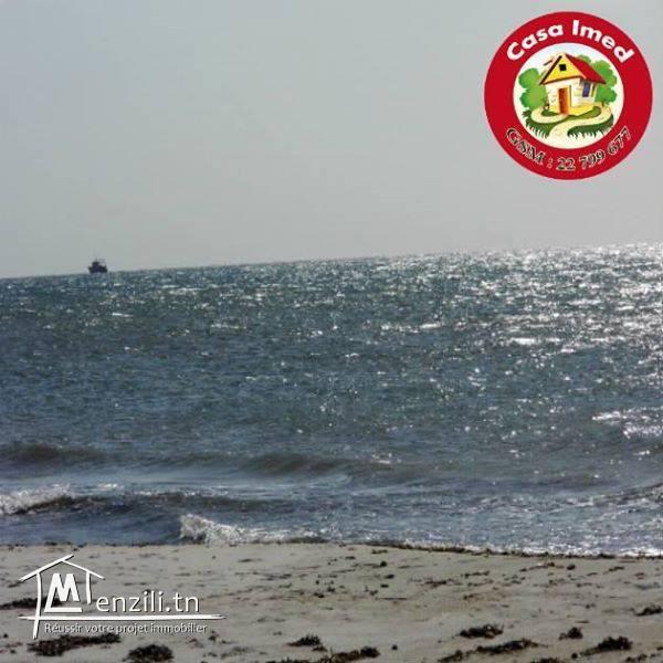 Des superbes terrains a kélibia