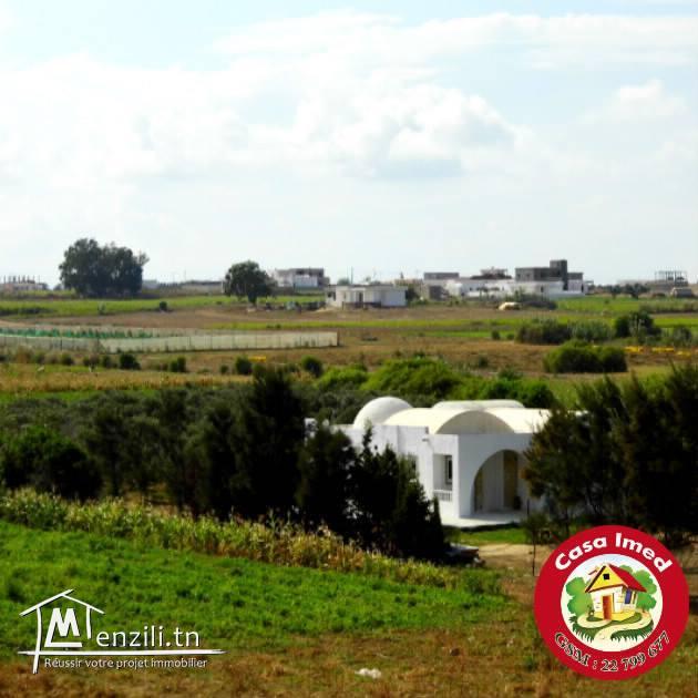 Des superbes terrains a dar allouch