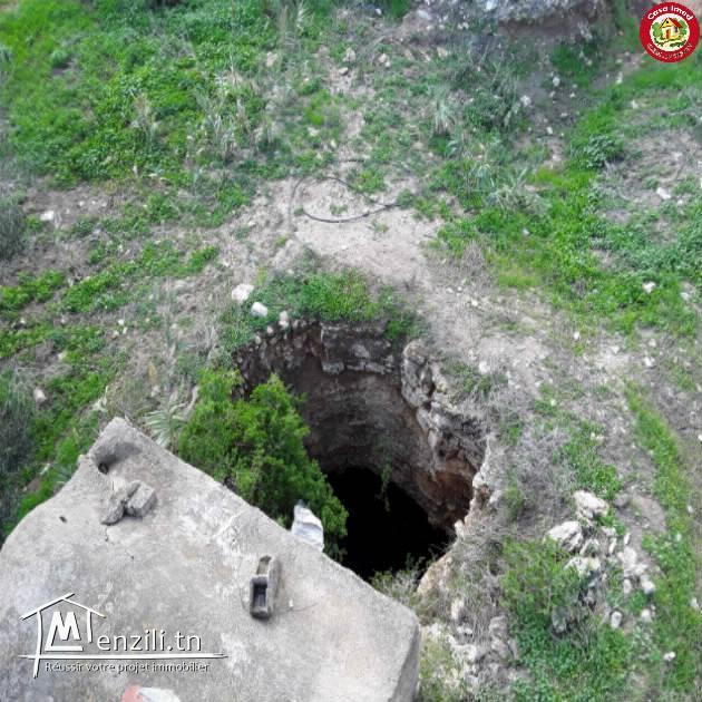 Des superbes terrains a dar allouch