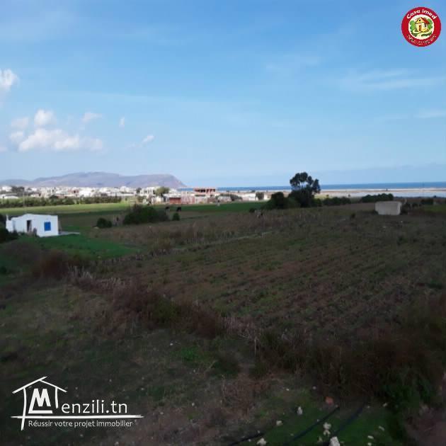 Des superbes terrains a dar allouch