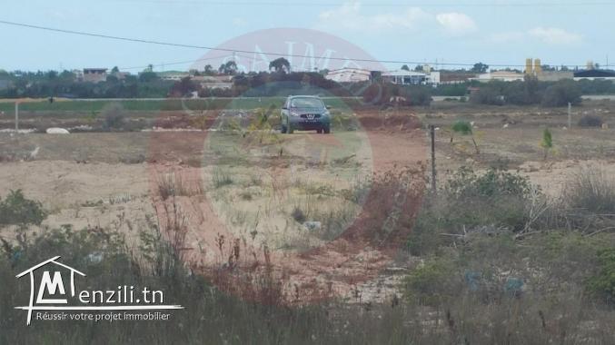 terrains a vendre à kélibia ain grenz contactez 29232582