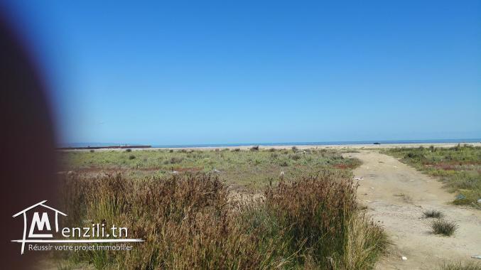 terrain à Raoued pied dans l'eau