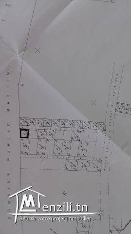 terrain à Raoued pied dans l'eau