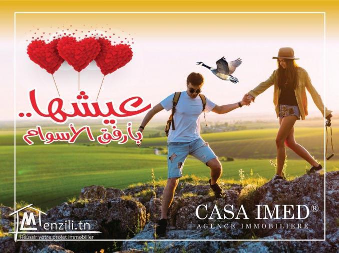 terrain malek  à bon prix